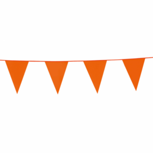 Vlaggenlijn oranje 10m