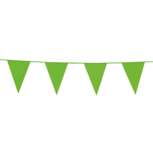 Vlaggenlijn licht groen 10m